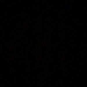 Meet your Posher, Brady